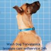 WASHDOG TORVAIANICA