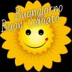 santino87